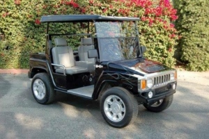 affordable golf cart rental, golf cart rent homestead golf cart rental 