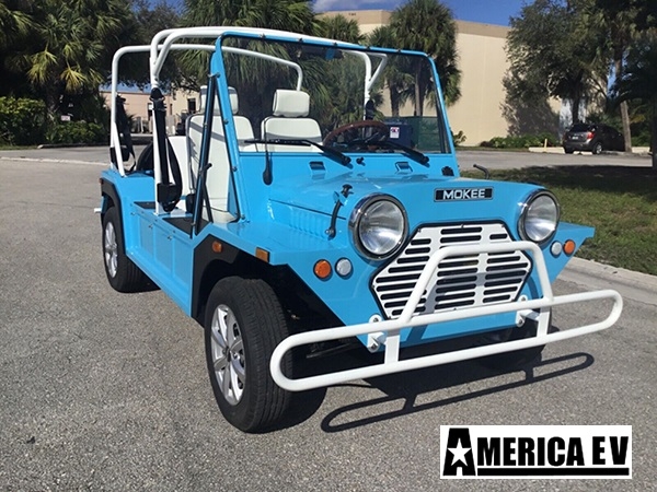 affordable golf cart rental, golf cart rent homestead golf cart rental 